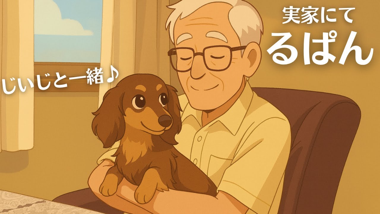 実家で夏休み♪じいじと仲良しるぱん♪【ミニチュアダックスるぱん】