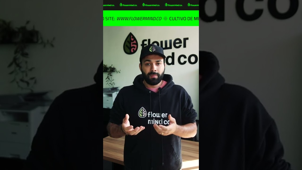 O Kit Nutri&ccedil;&atilde;o Flowermind n&atilde;o d&aacute; overfert #shorts