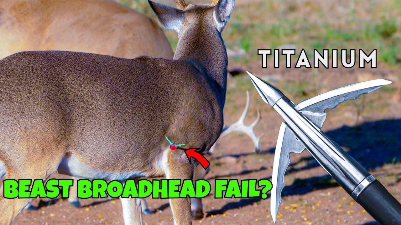 BEAST BROADHEAD FAILED Me? Bucks Still ALIVE!