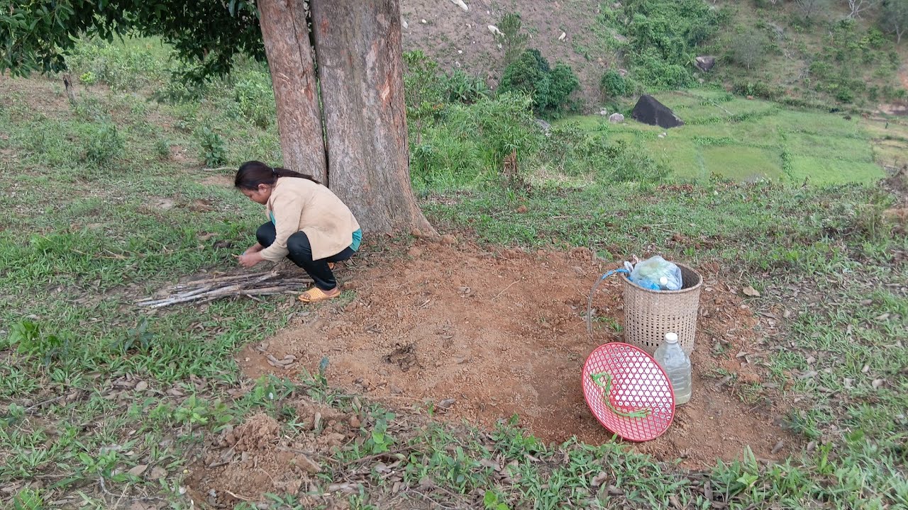 CƠM TRƯA NGOÀI RẪY