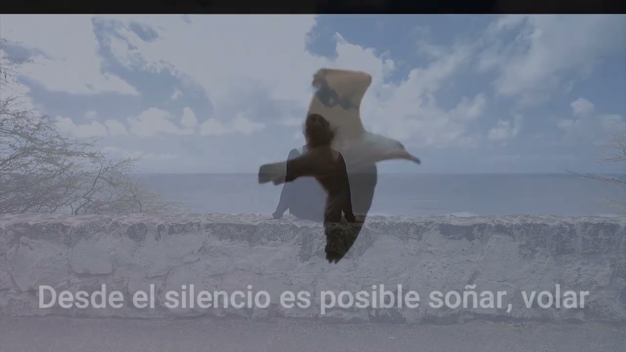 Desde el silencio