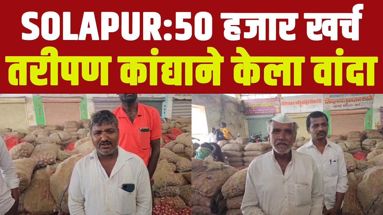 सोलापुरात कांदा मार्केट डाऊन..शेतकरी परेशान