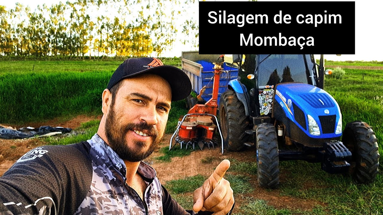 Fizemos Silagem de capim mombaça #capim #silage