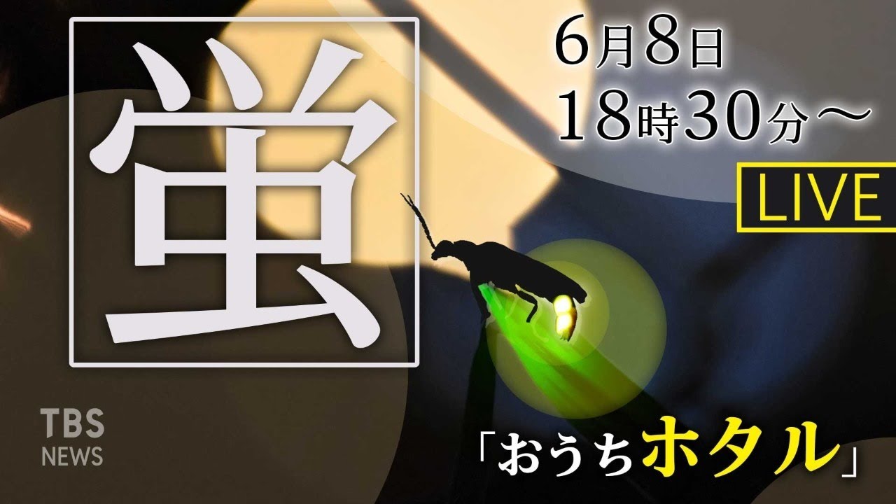【LIVE】「おうちホタル」空に泳ぐ緑の光　万葉公園＠神奈川県・湯河原町
