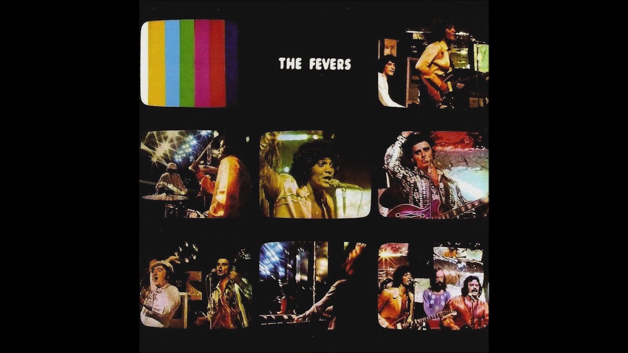 THE FEVERS  -  EU QUERIA (1978)