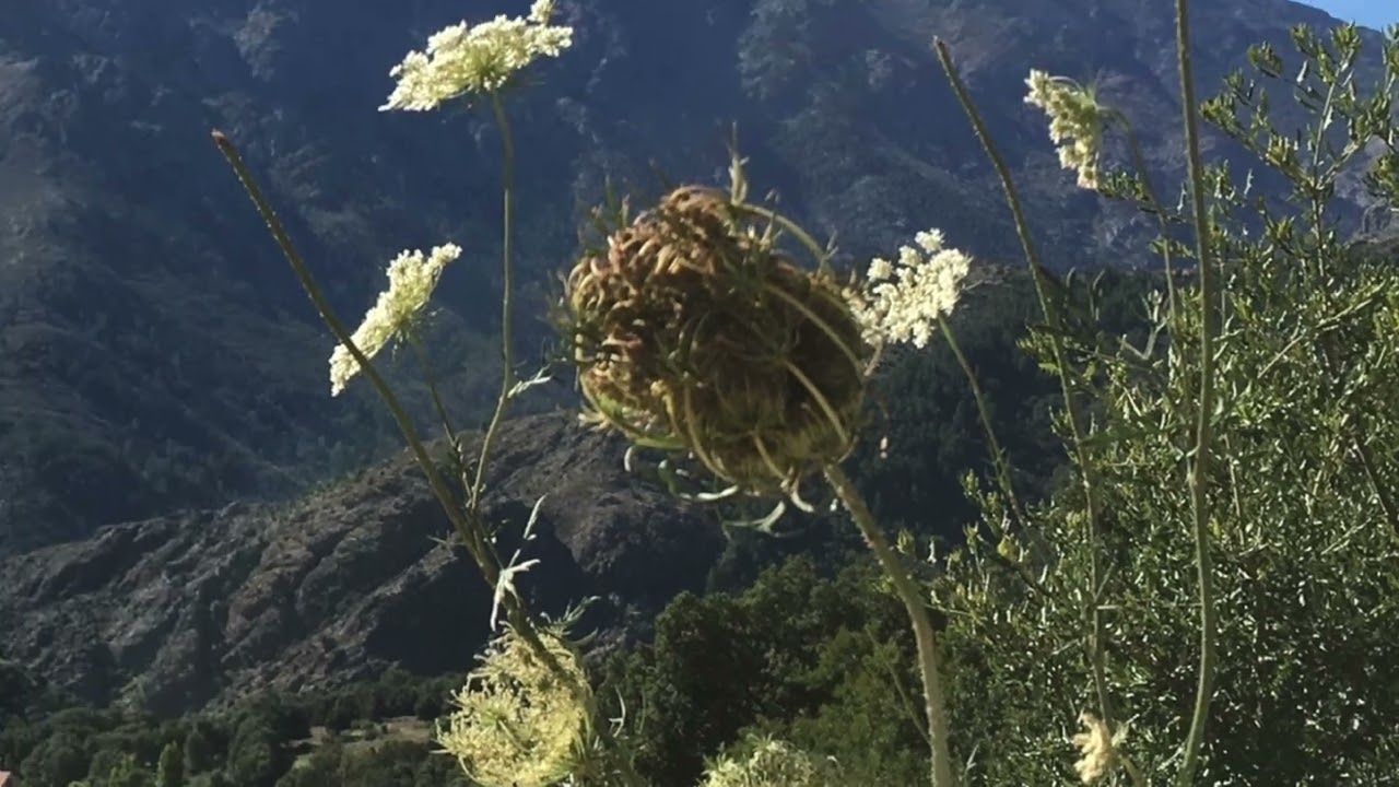 2024, Michael Honnor, The Very Place