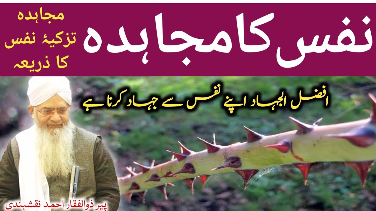 Nafs Ka Mujahida ● نفس کا مجاہدہ ● Tazkia e Nafs ● تزکیہ نفس ● Peer Zulfiqar Ahmad Naqshbandi