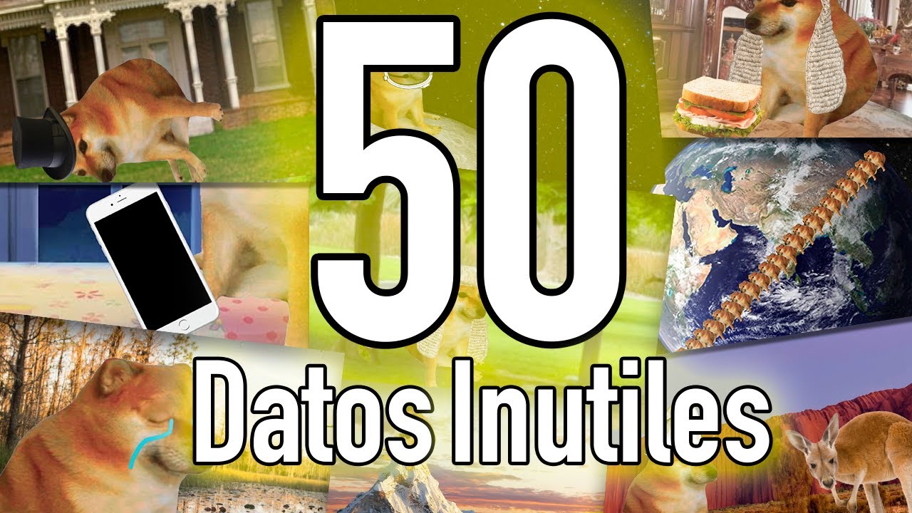 50 DATOS IN&Uacute;TILES pt.1