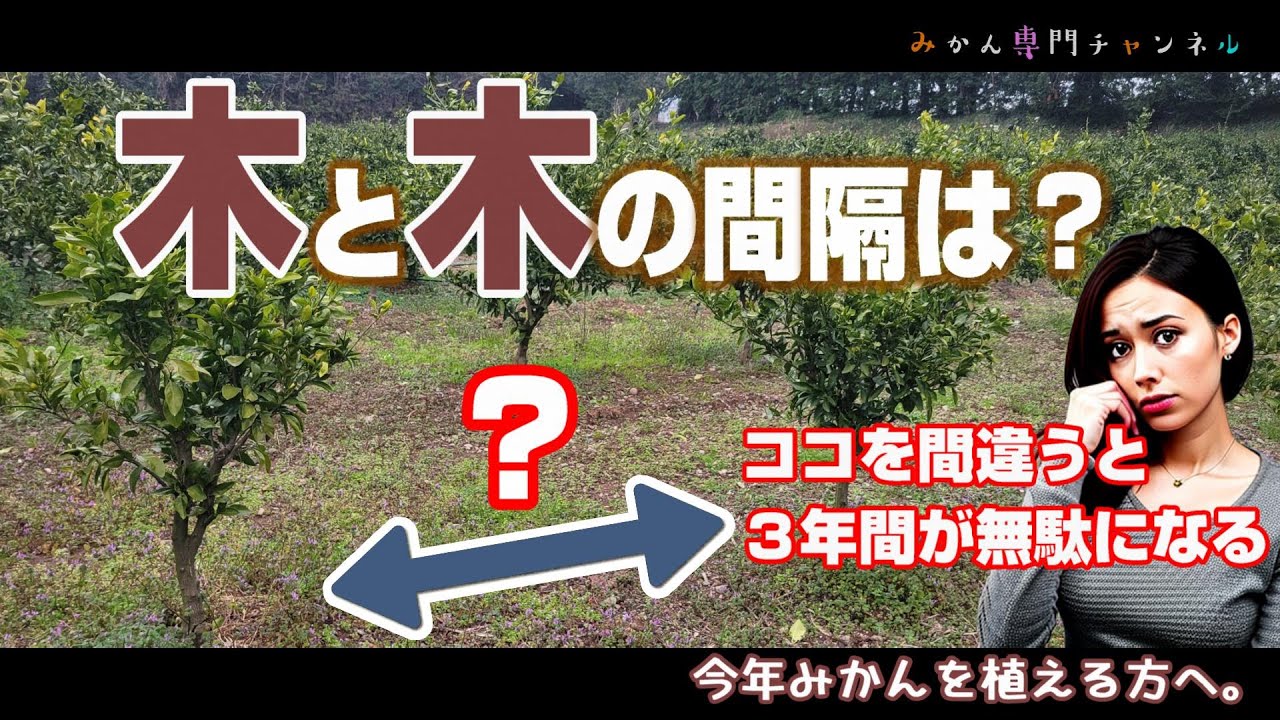 【3月中旬】みかんの苗を植える時、幅はどのくらいにすればいいのか？／その苗木、品種が違うかも
