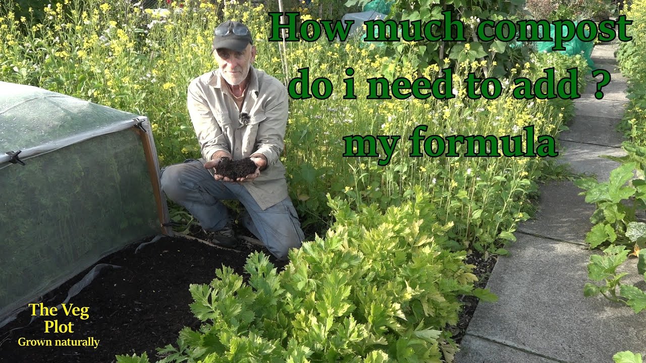 How much compost do I need to add