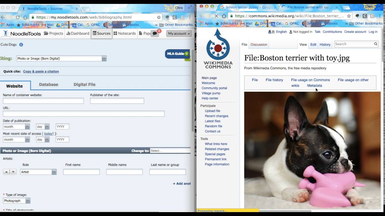How to Cite an Image in NoodleTools