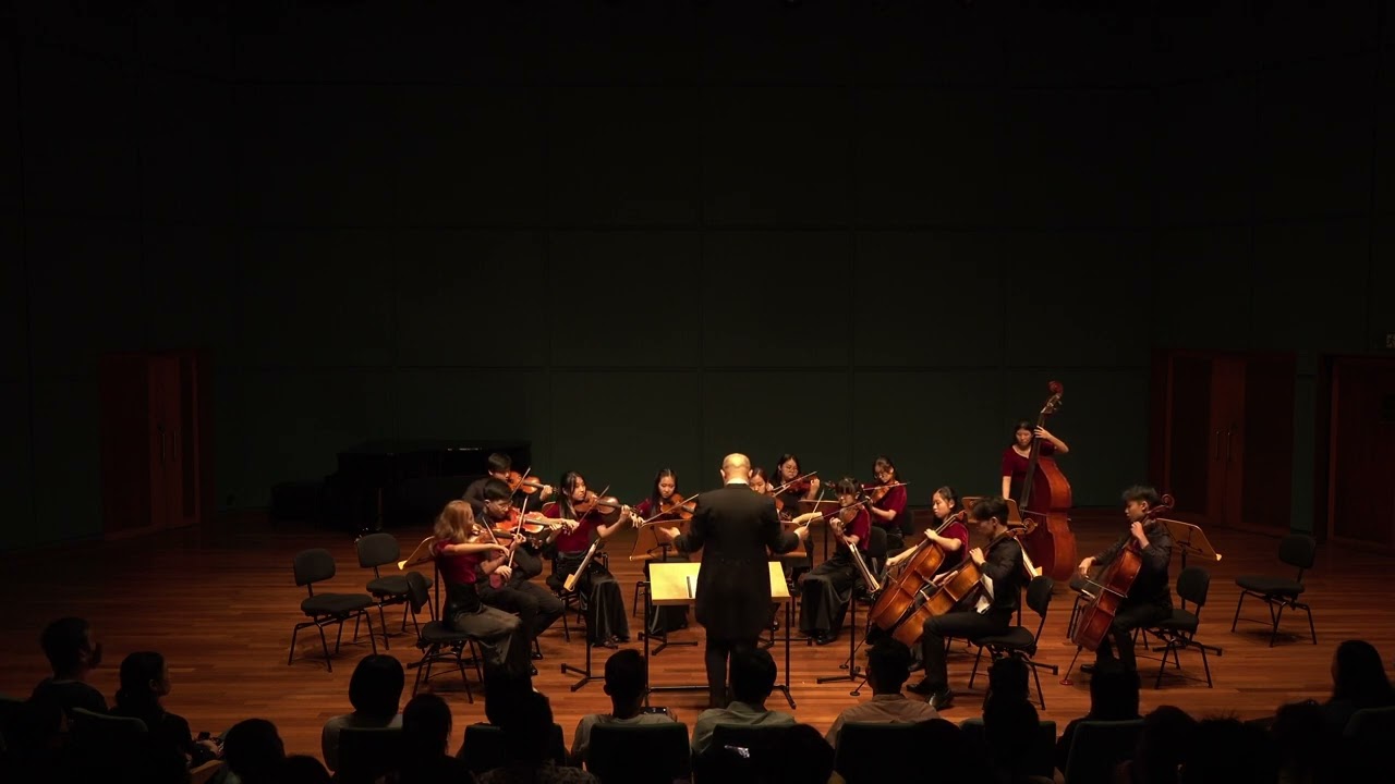 NJC String Orchestra plays Music from La La Land