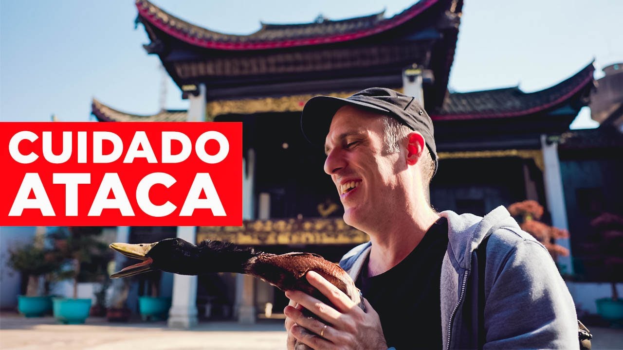 VIVO EN CHINA CON UN PATO | Jabiertzo