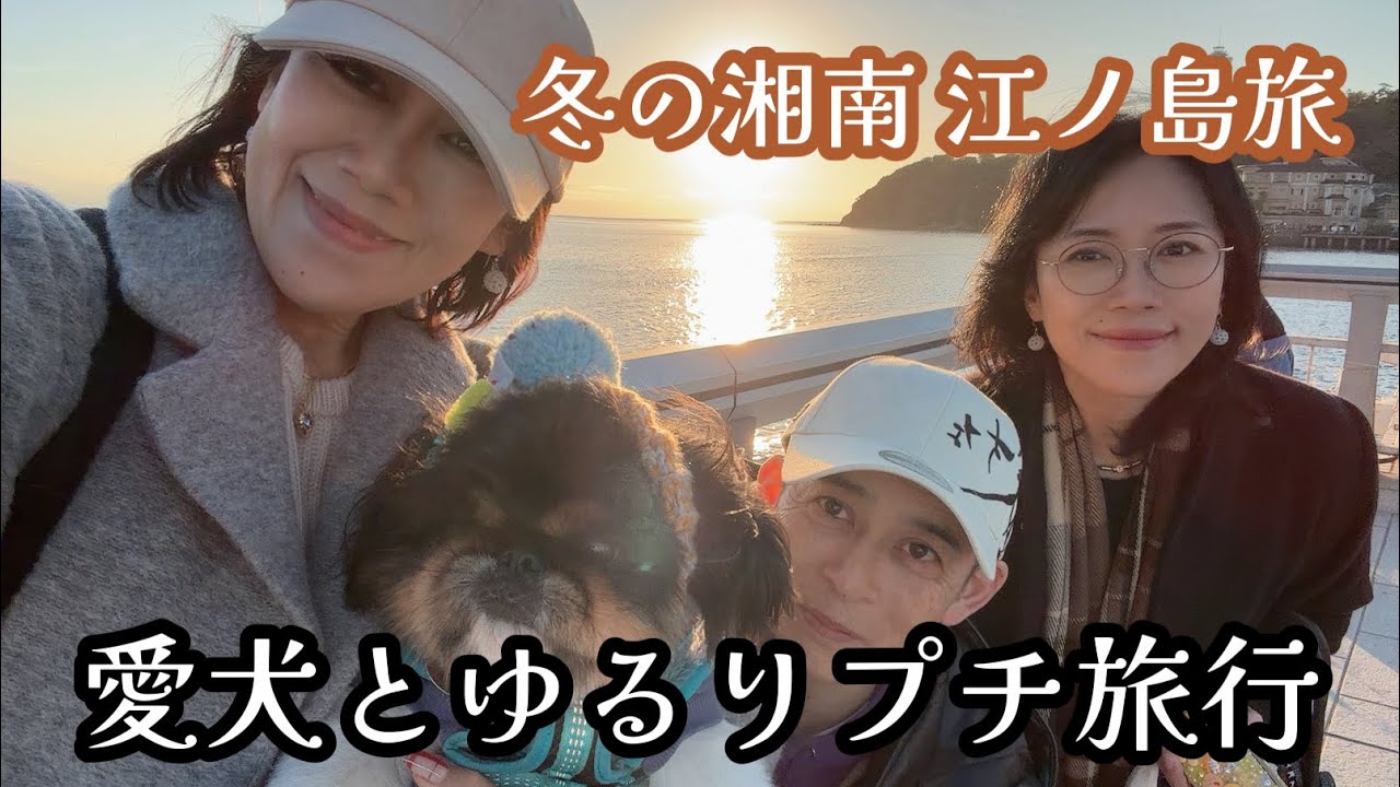 【冬の湘南🧡江ノ島旅】愛犬とゆるりプチ旅行🐶✨