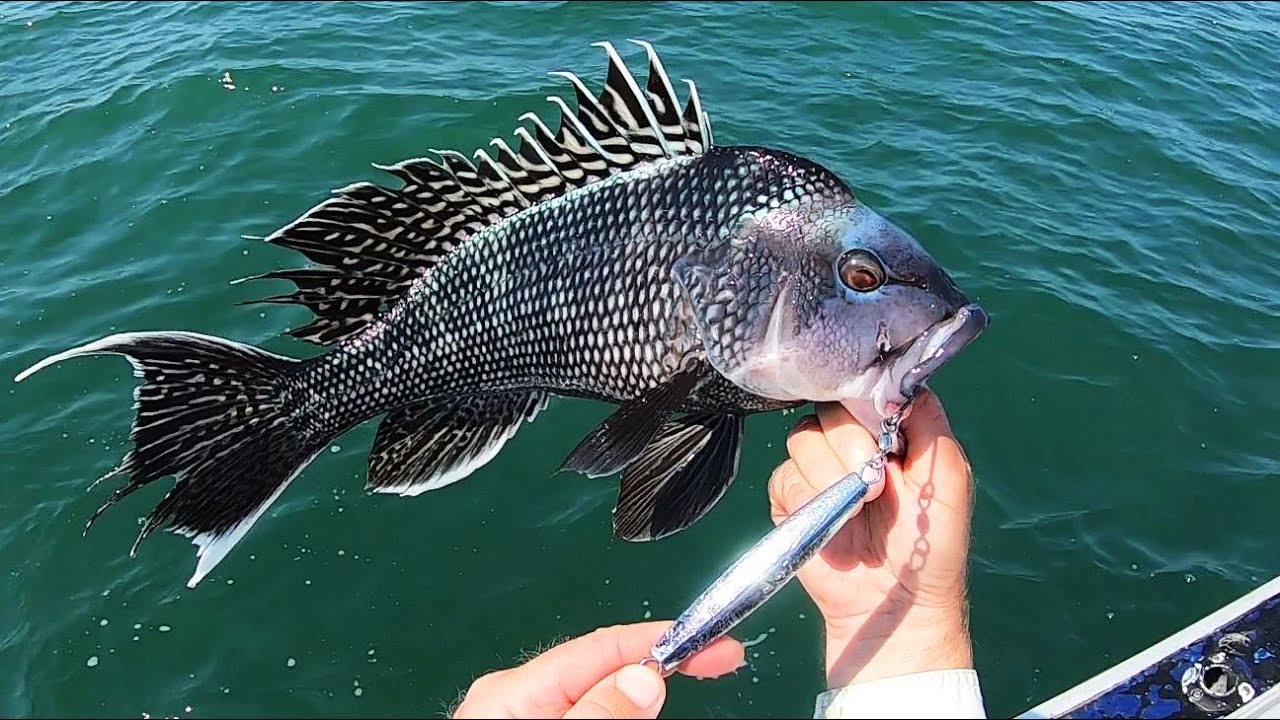 Jig Fishing for Catch and Cook - EASY Recipe and Cleanup!
