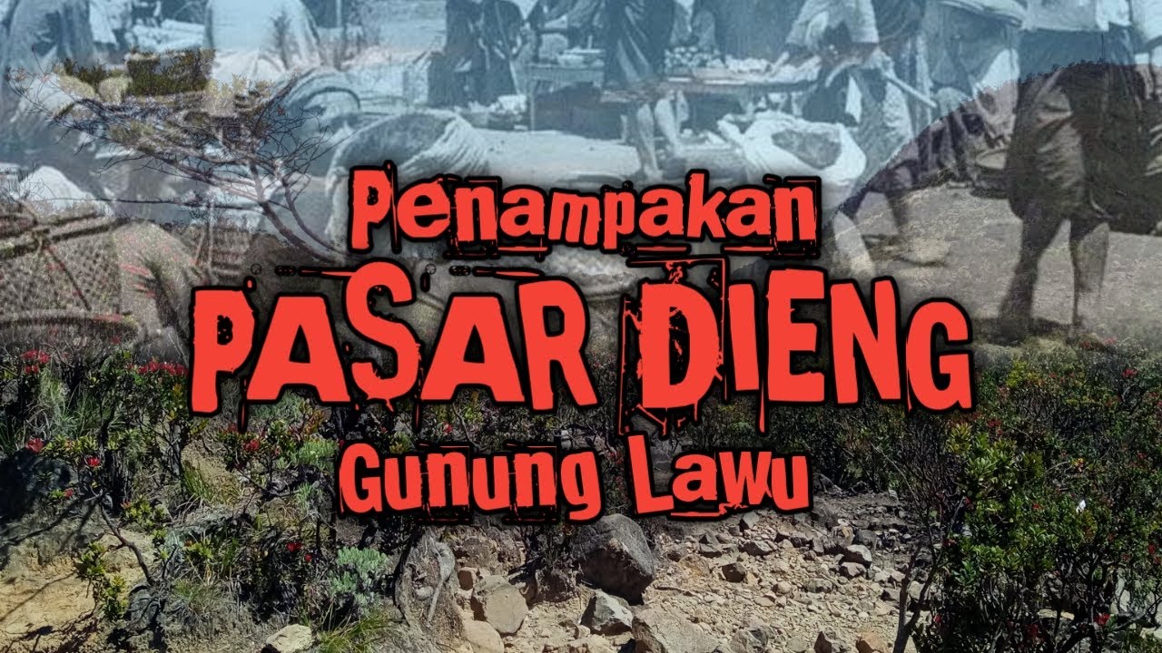 Penampakan Pasar Dieng Gunung Lawu Pada Siang Hari