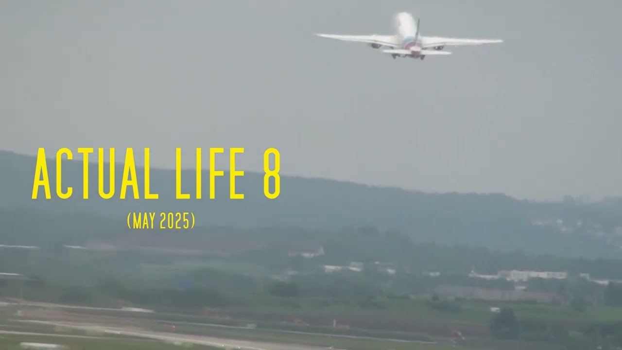 ACTUAL LIFE 8 (Dublin, Ireland)