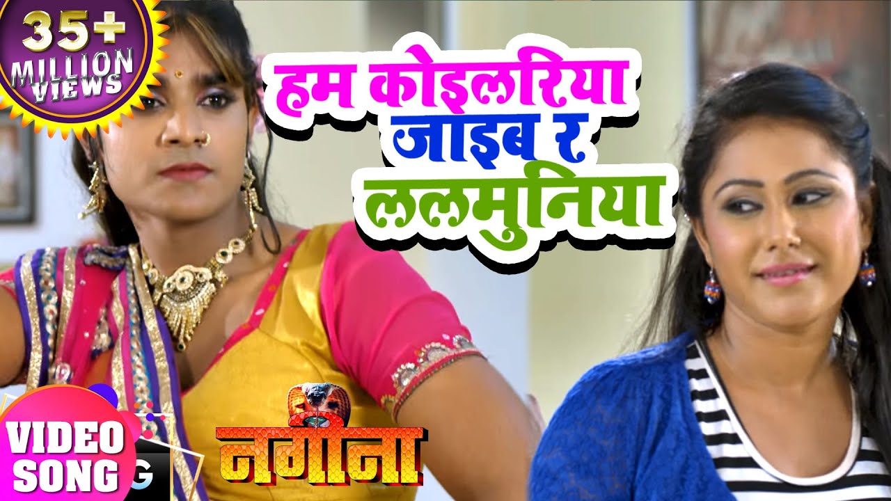 Chintu का  #VIDEO SONG - Hum Koilariya Jaib Re Lalmuniya Ke Mai- NAGINA - Bhojpuri Song