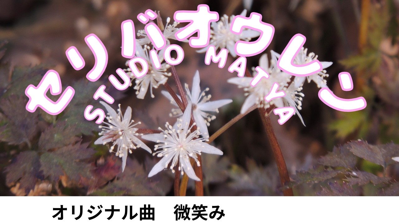 Smile 微笑み#originalmusic 千葉県立房総のむら　緑化植物園　他