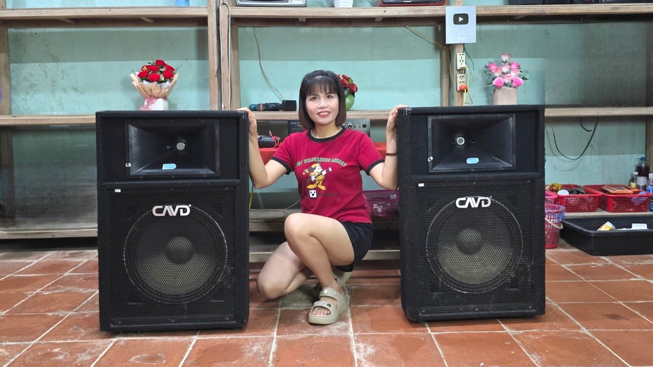 Repairing a pair of giant CAVD speakers with sound problems / Hải daily life