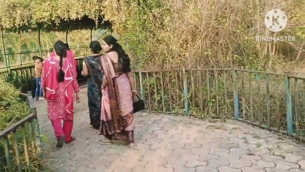 #mukundapur #Maharaja Martand Singh Judeo White Tiger Safari and Zoo#rewa##video 
