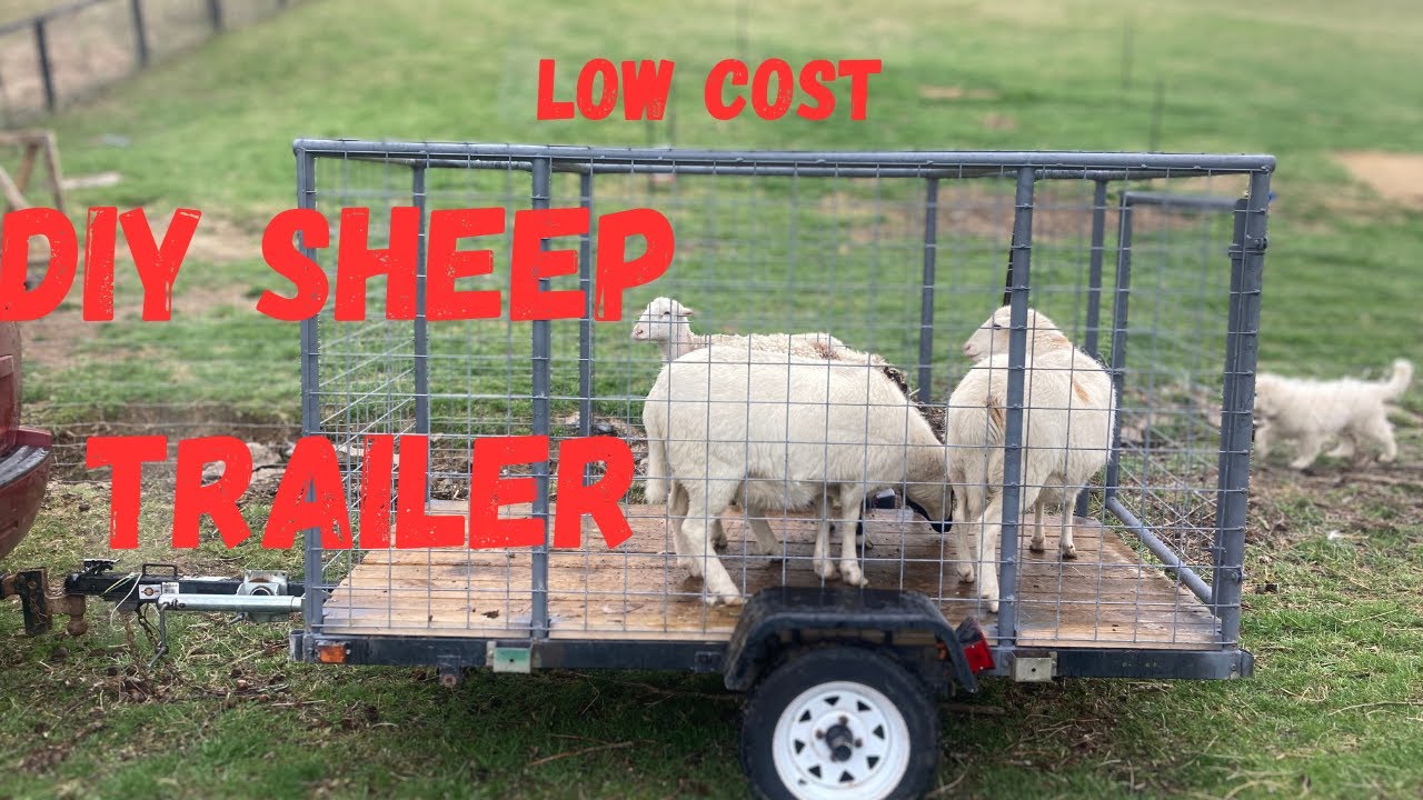 MY DIY SHEEP TRAILER