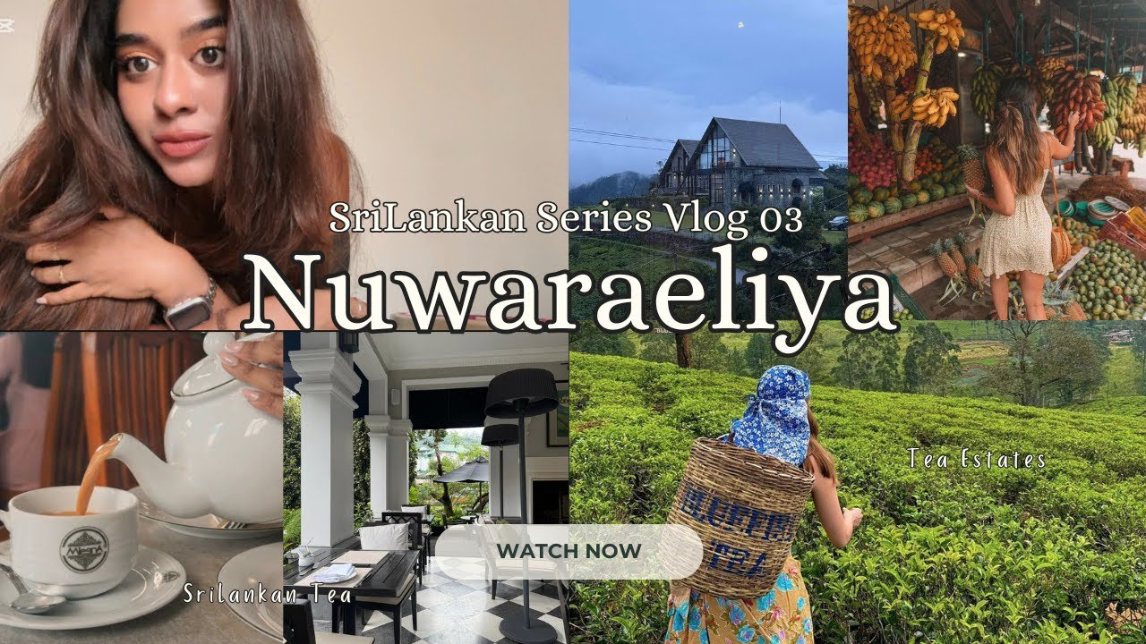NuwaraEliya vlog 🇱🇰 | SriLankan Vacation Vlog 03 | Tea plantations, The Grand Hotel & Rainy weather.