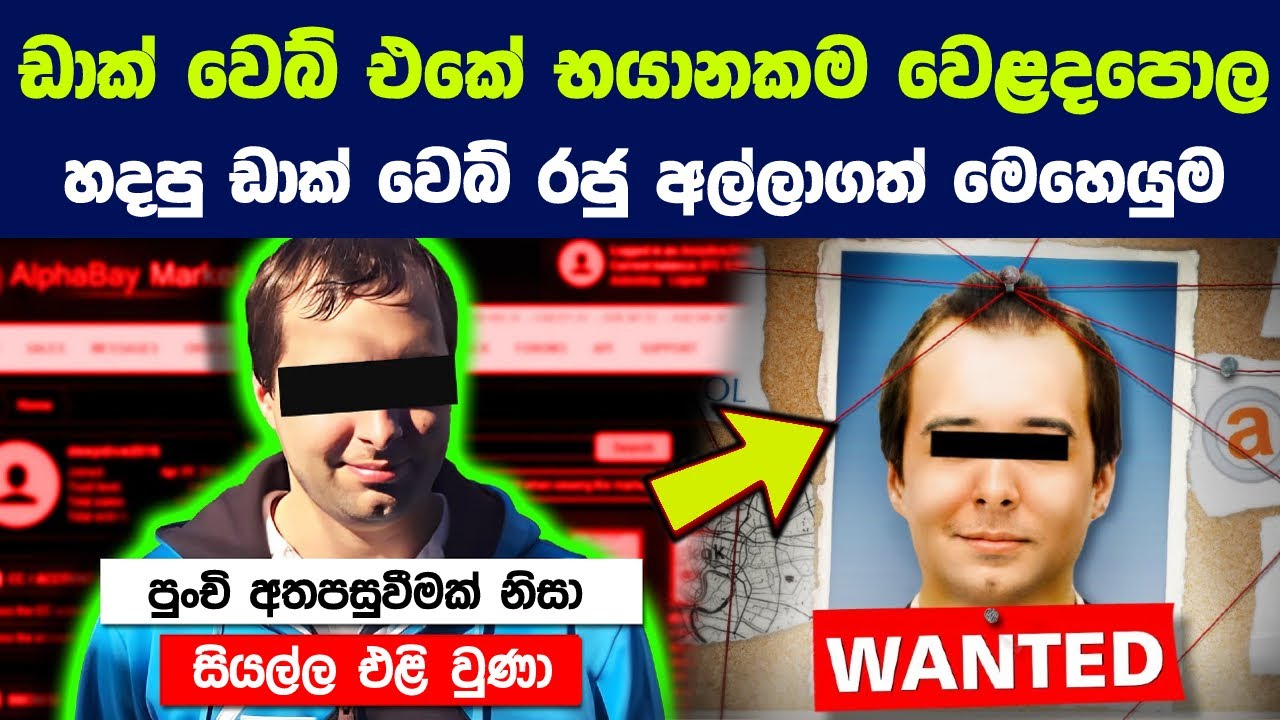 රටවල් හතක පොලිසී එකතු වෙලා ඩාක් වෙබ් හි රජු අල්ලාගත් මෙහෙයුම | The Hunt for the King of the Dark Web