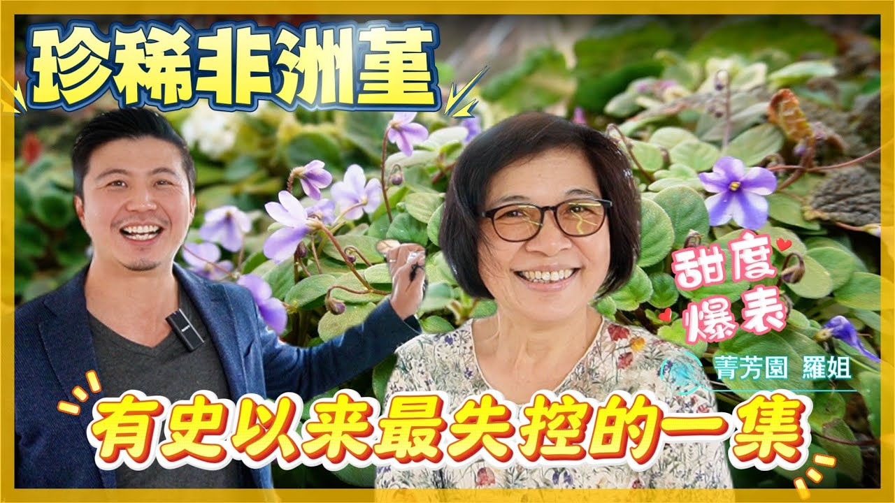 【田尾系列ep35】全程飆高音，來賓超不受控(哈哈哈)。跟伊恩一起來參觀「田尾非洲菫女王」--羅姐(瑪莉姐)的超珍稀收藏吧。＃菁芳園＃伊恩愛種花