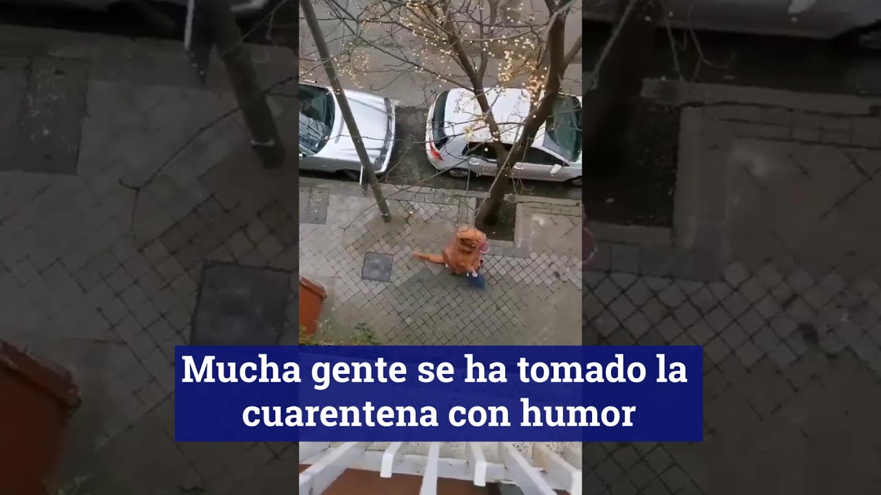 La Policía “lucha” contra dinosaurios, Batman o el propio coronavirus corriendo por las calles
