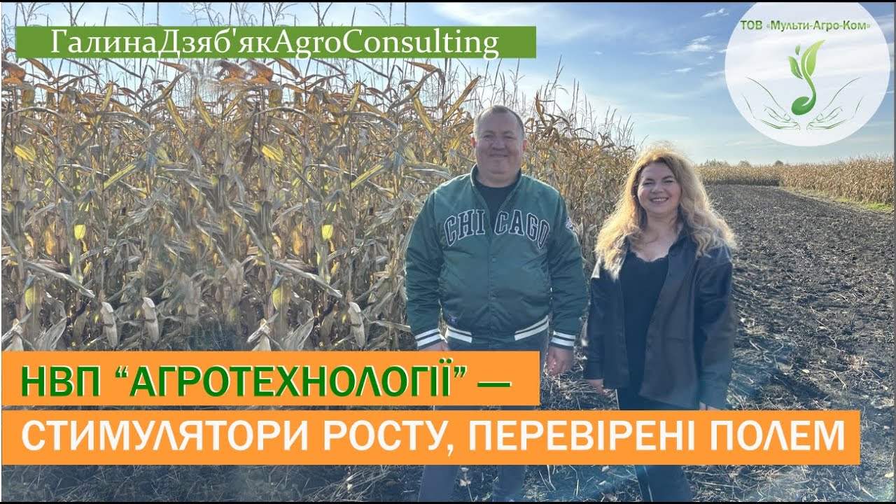 Олег Пелипенко | Оптимальна формула: результат, якість, доступність