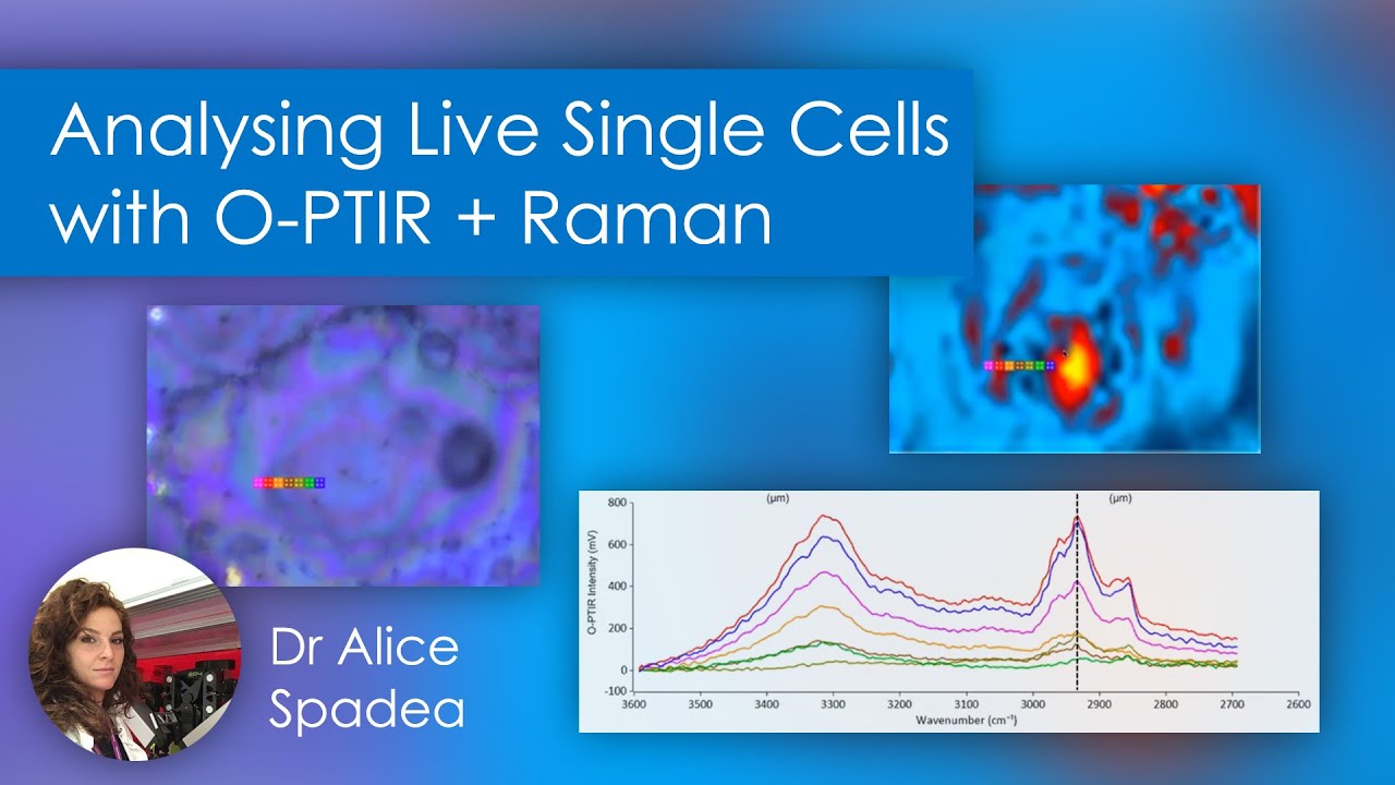 Analysing Live Single Cells with O-PTIR + Raman Spectroscopy - Dr Alice Spadea