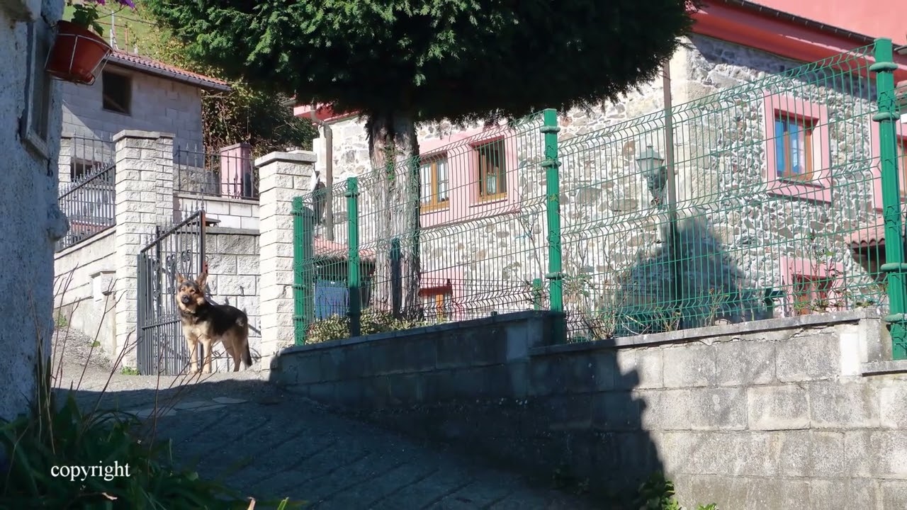 Llanos de Somerón 1