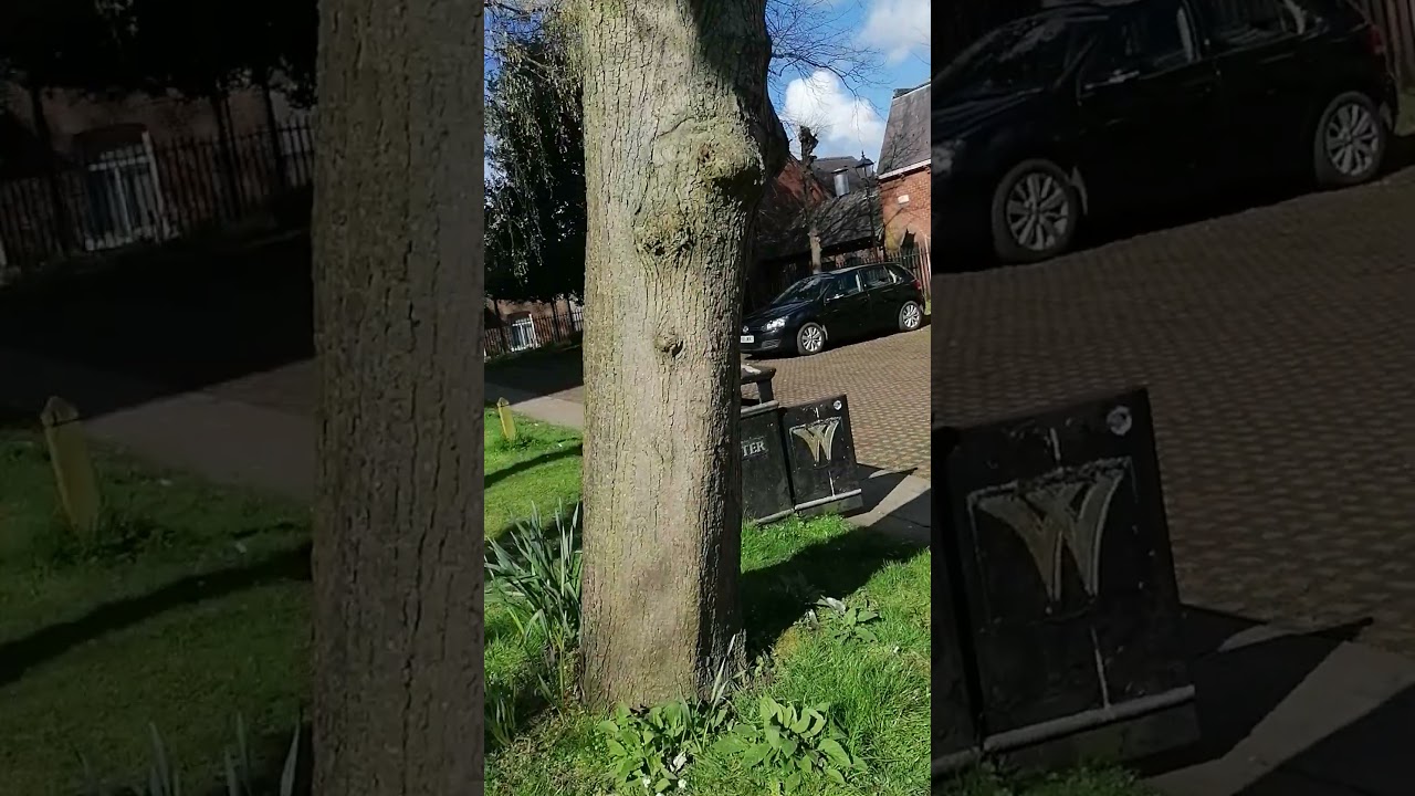 (1)St,Giles Parish Church, Wrexham, Wales, UK