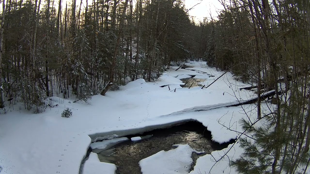 Snowy Babbling Brook Relaxation | Real Wisconsin Nature