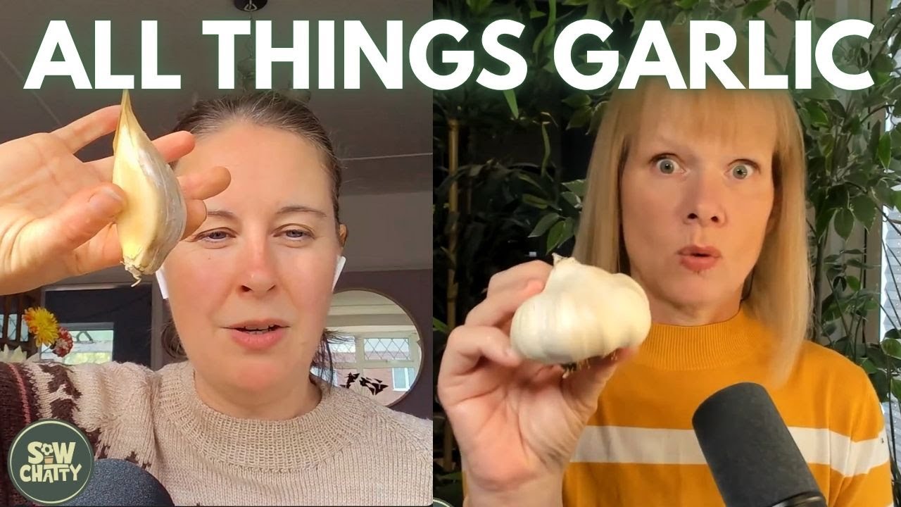 S1:E8 - Kerry Eats a Slug & Clare&rsquo;s Shock Confession 