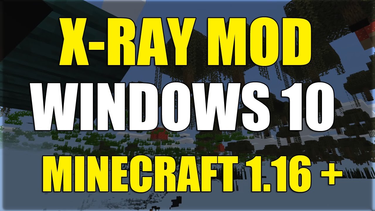 How to Get XRAY on Minecraft Windows 10