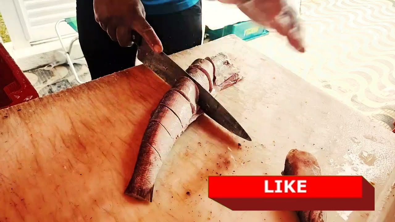 LIMPANDO PEIXE MODO F&Aacute;CIL...PESCADA BICUDA...