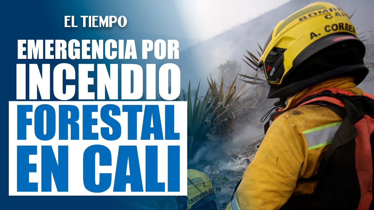 Emergencia por incendio forestal en el oeste de Cali | Al sitio acudieron 20 bomberos | El Tiempo