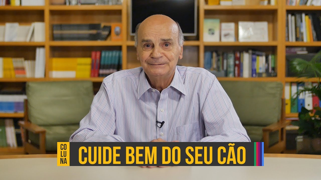 Cuidados contra a leishmaniose canina | Coluna #63