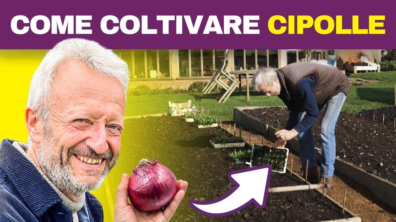 Coltiva Cipolle Velocemente: Segreti Che Gli Esperti Non Vogliono Che Tu Sappia!