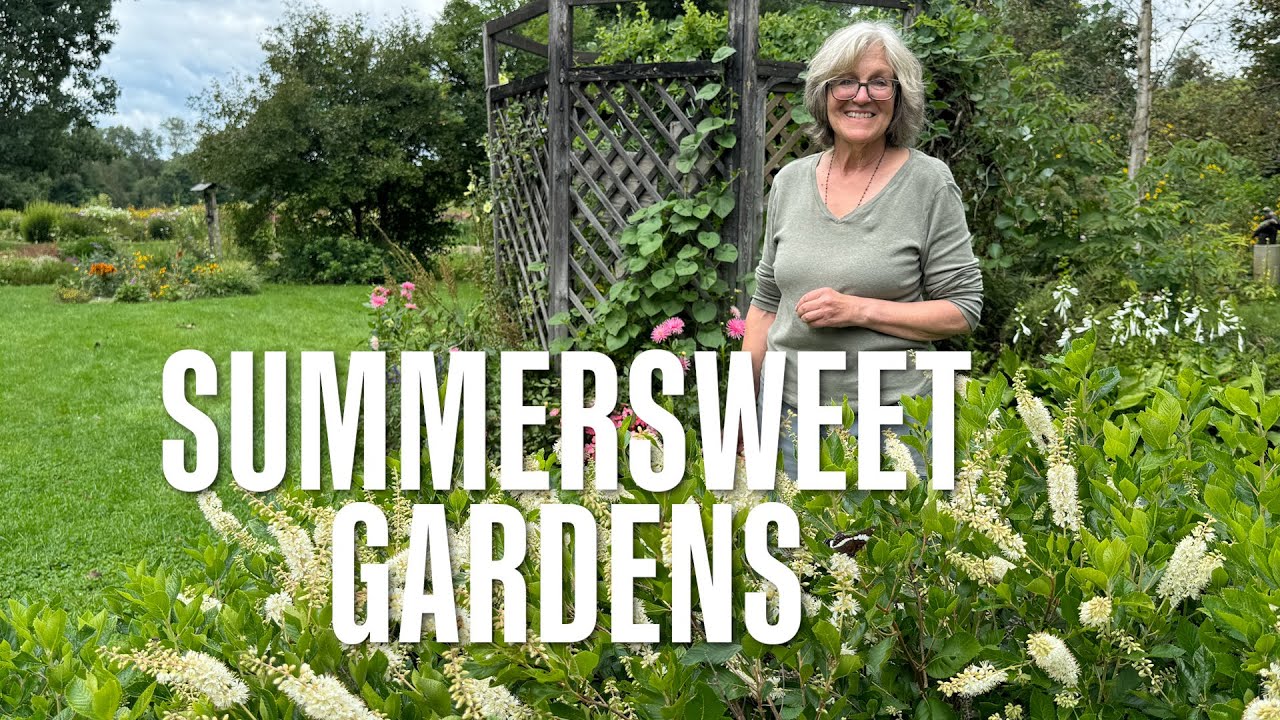 Summersweet Gardens [Stuck in Vermont 722]