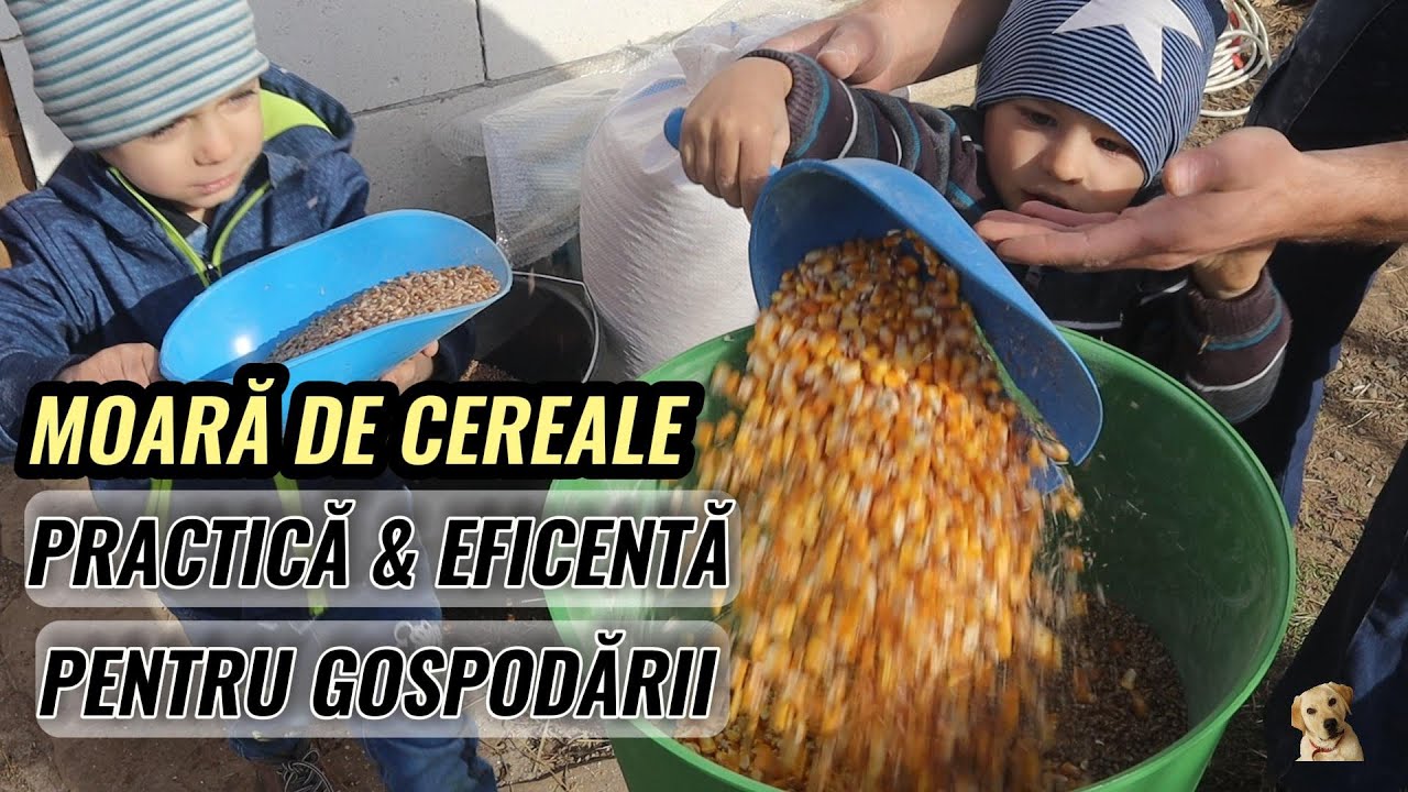 Moara de cereale perfectă pentru gopodăriile de familie / moara Euromill 50 - Uniteh Pro
