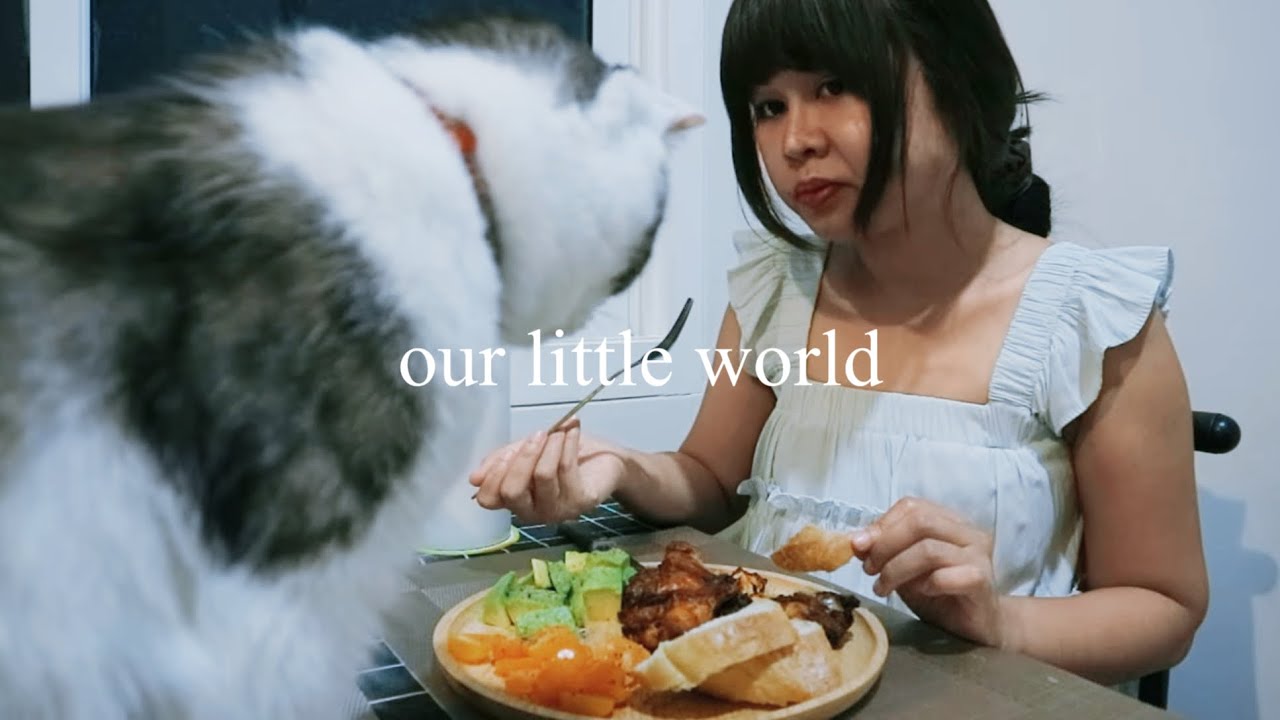 a quiet day in our life | lunar eclipse night, cooking, and grocery shopping