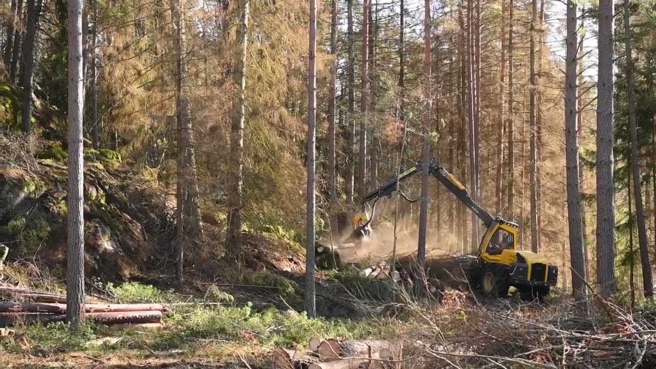 ECO Log 590