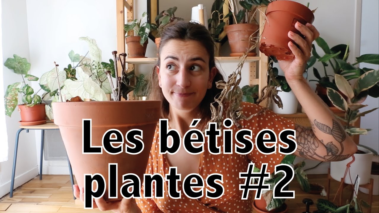 Perdre des plantes, c'est normal ! Les bêtises plantes #2