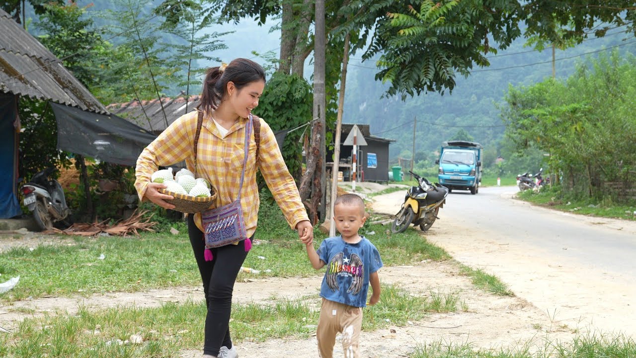 Thuy and Nam's Daily Life - Harvesting Guava to Sell at the Market | Trieu Thi Thuy.