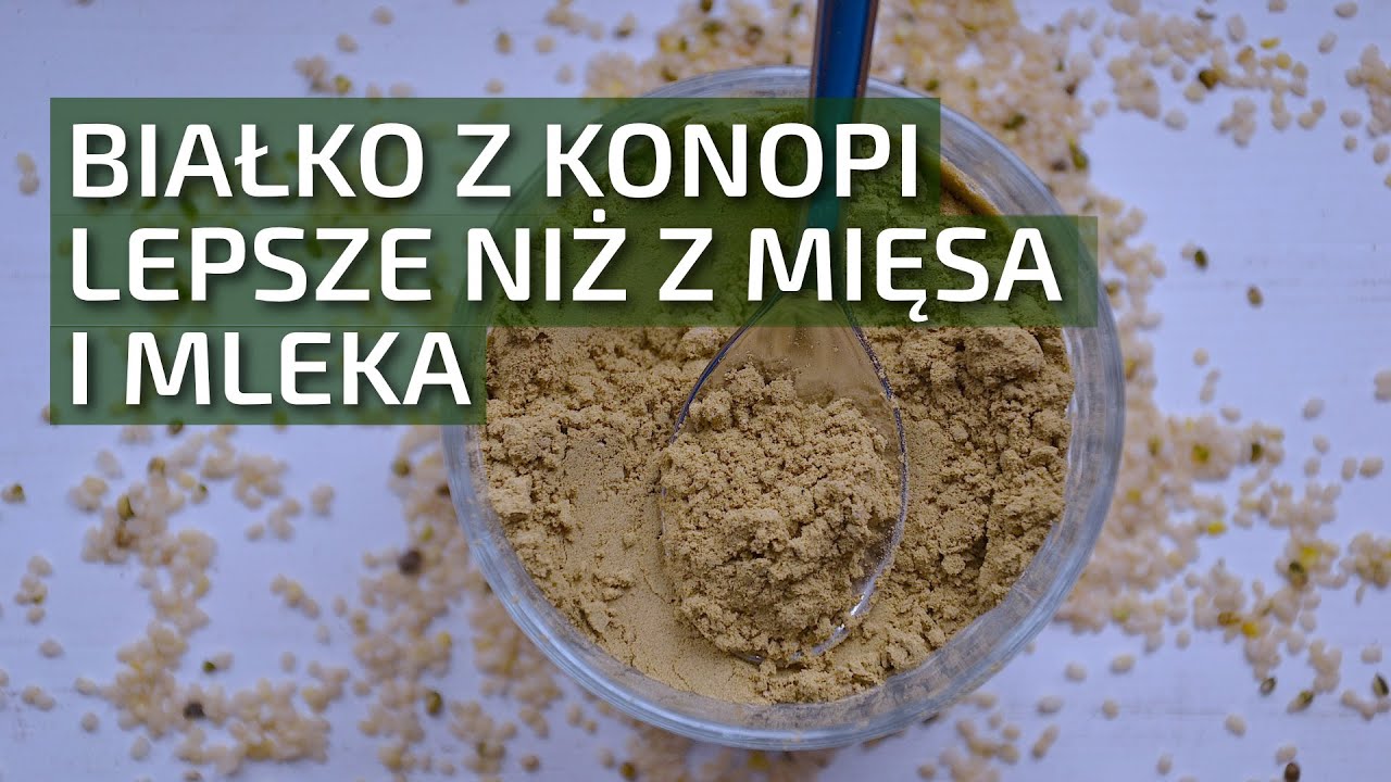 Białko konopne! Zdrowsze niż z mięsa i mleka | Dobrekonopie.pl