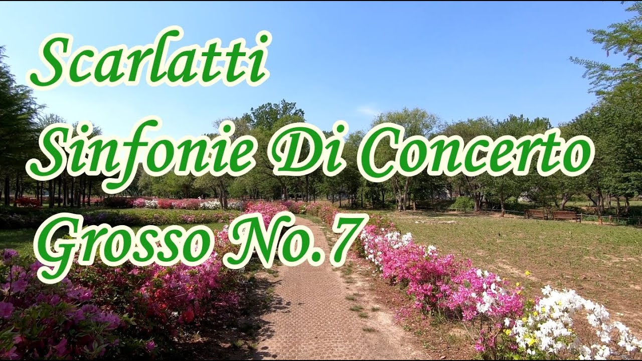 Scarlatti - Sinfonie Di Concerto Grosso No.7