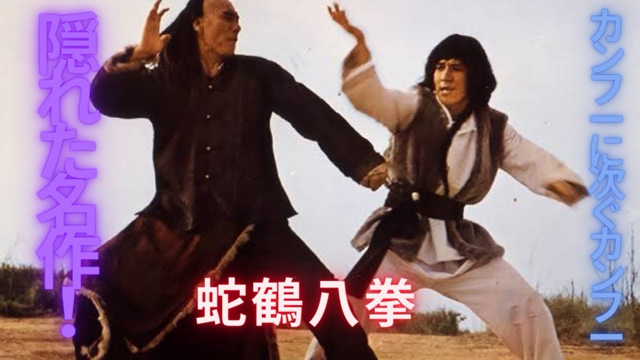 蛇鶴八拳の紹介‼️#蛇鶴八拳#ジャッキーチェン